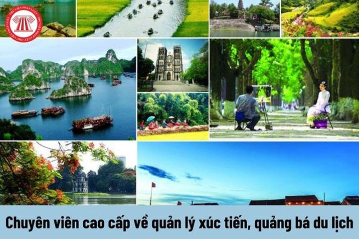 Hotspot Matrix: Chìa khóa vàng đến sự nghiệp video ngắn bền vững