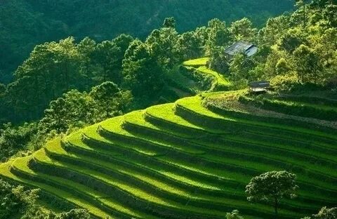 Hotspot Matrix và Xuất hiện phim Việt dở nhất 2025, netizen than trời “để tiền ăn bát phở_Công cụ tạo nội dung